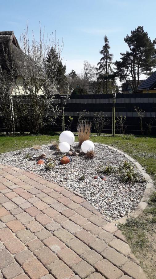 Ferienwohnung Born Am Darsswald Eg Экстерьер фото
